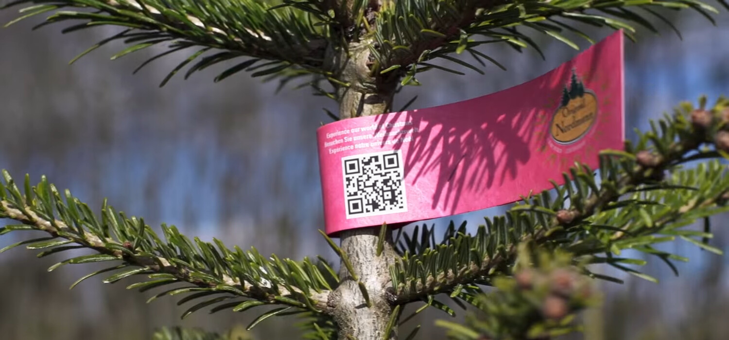 Order christmas tree - Nordmann Exellent kerstbomen